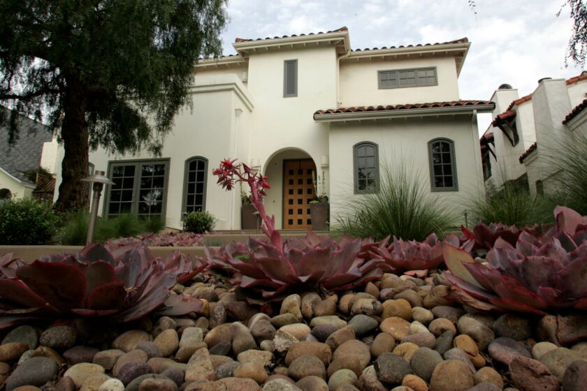 Water-saving features at a home in Santa Monica include drought-tolerant plants that help hold water in the yard.