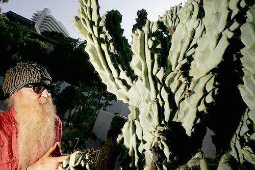 Billy Gibbons, guitarist for ZZ Top, in his cactus garden.