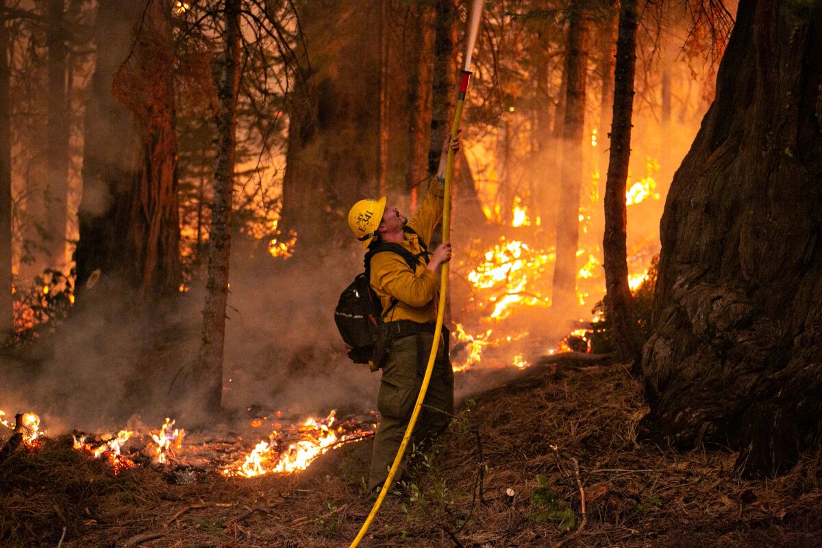 A firefighter uses a hose among trees, smoke and brush on fire
