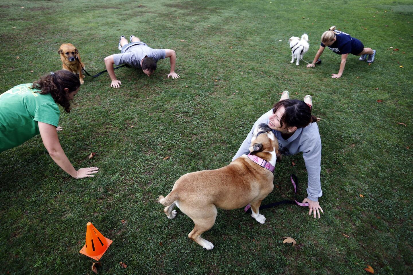 New Paws on the Block class for dogs and humans