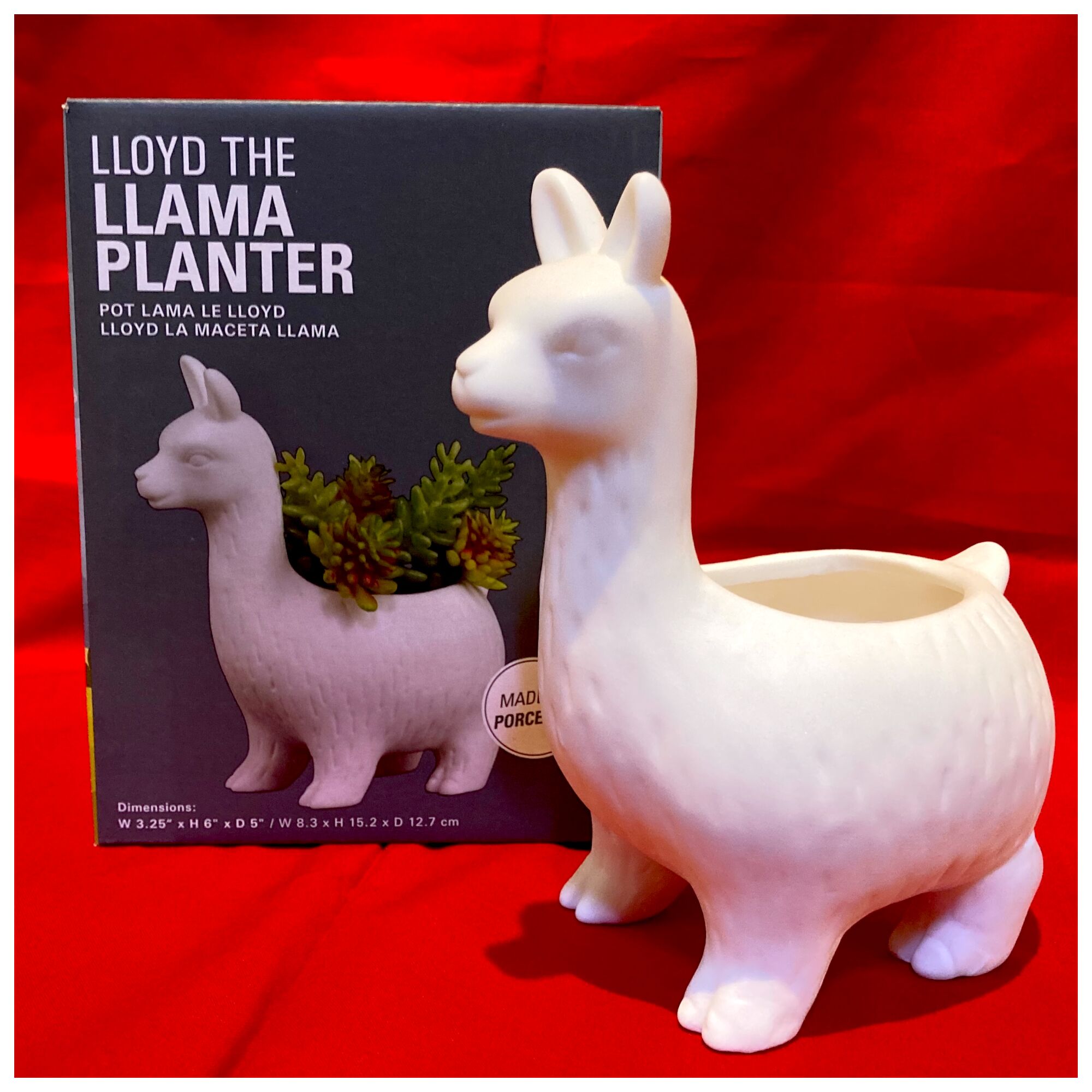 A llama planter from Wacko