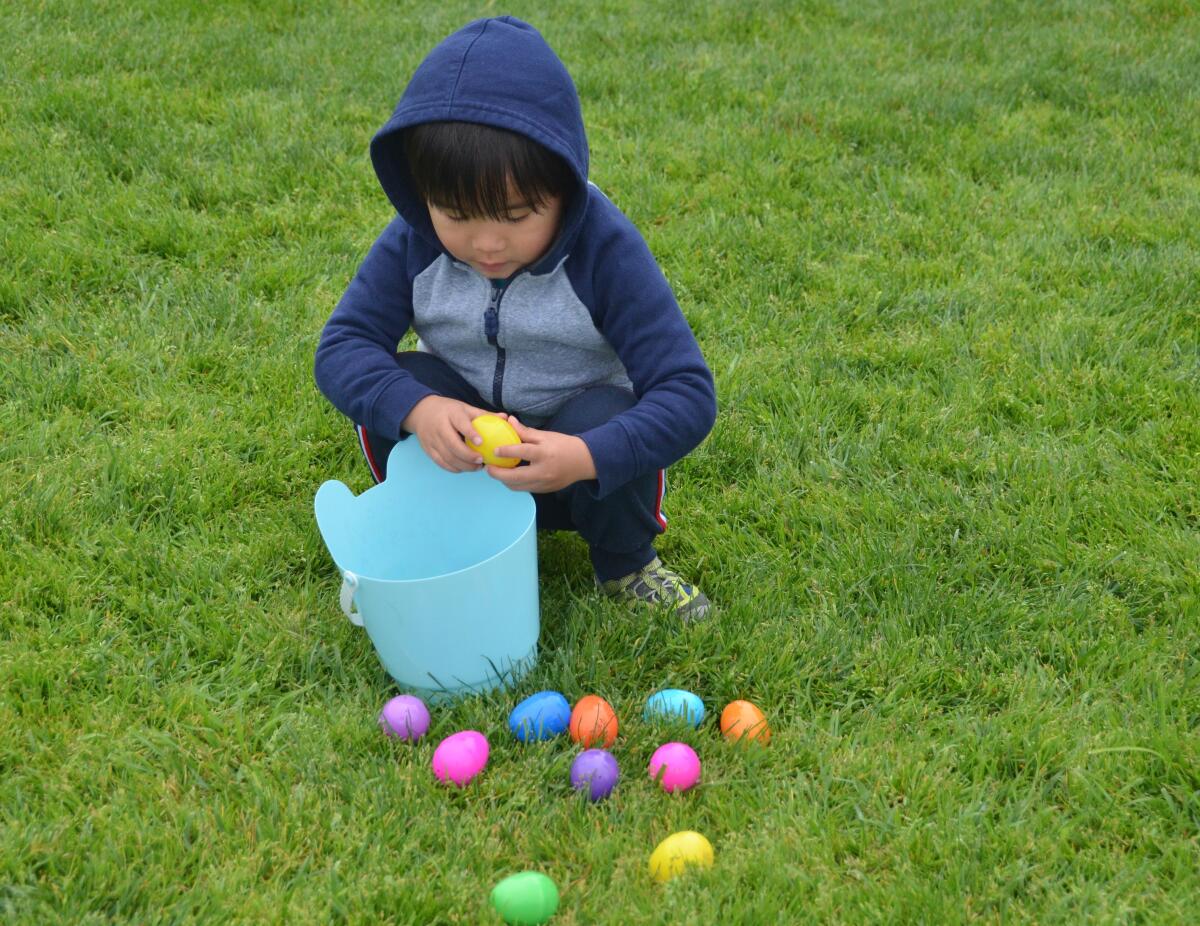 Three-year-old Kai Yu gathered eggs during the Beyond Blindness Beeper Egg hunt.