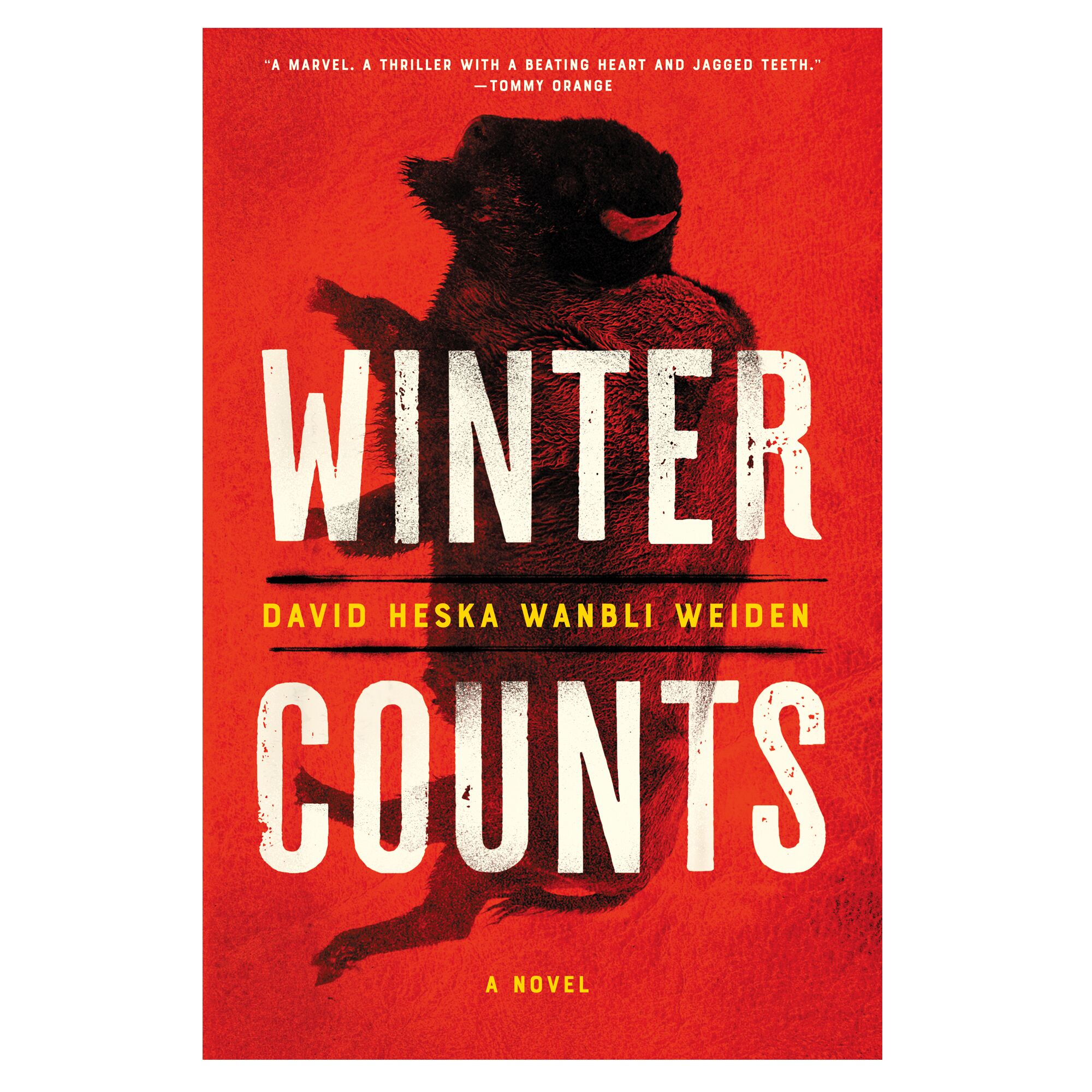 HOLIDAY GIFT GUIDE - Cover of the book Winter Counts: A Novel by David Heska Wanbli Weiden.