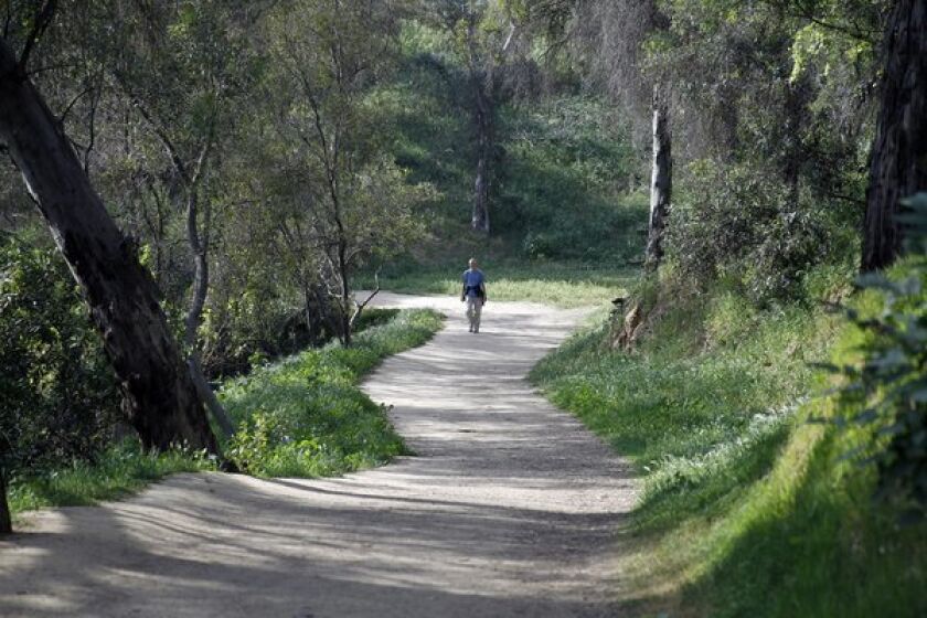 Trees and grass line the path at the beginning of a scenic 2.5-mile trail at Elysian Park.