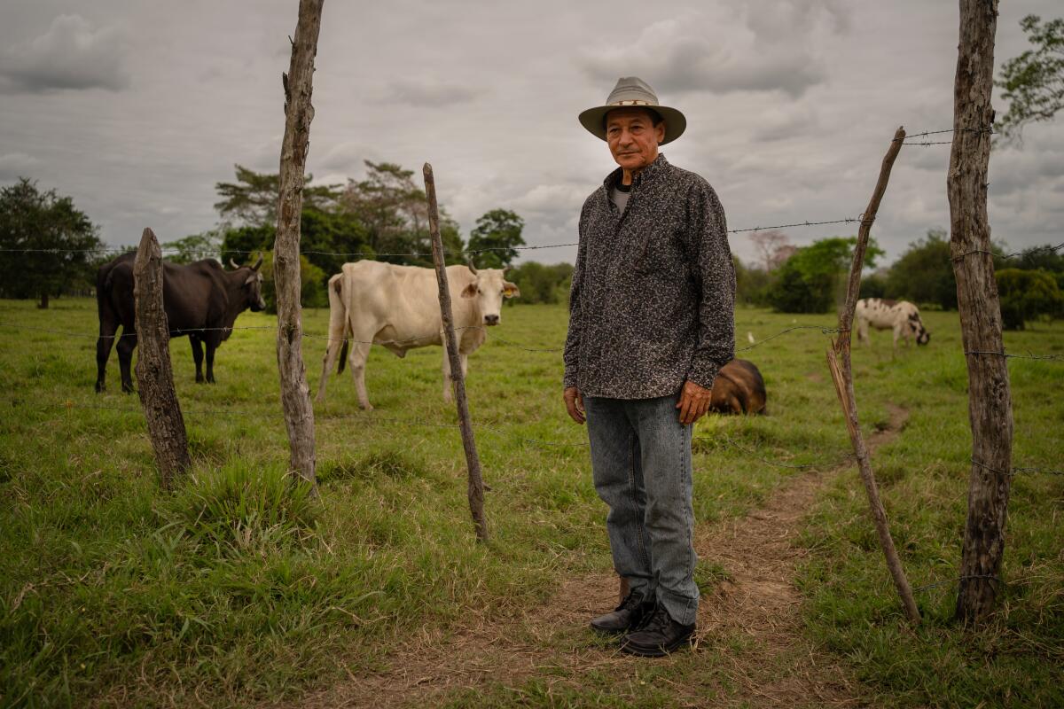 Carlos Lopez Paz stands in a grassy field near cattle.