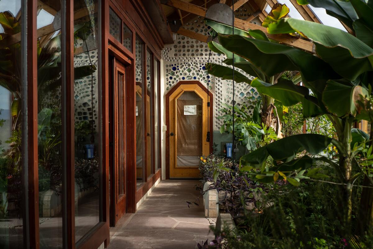 A courtyard at an Earthship is filled with lush plants.