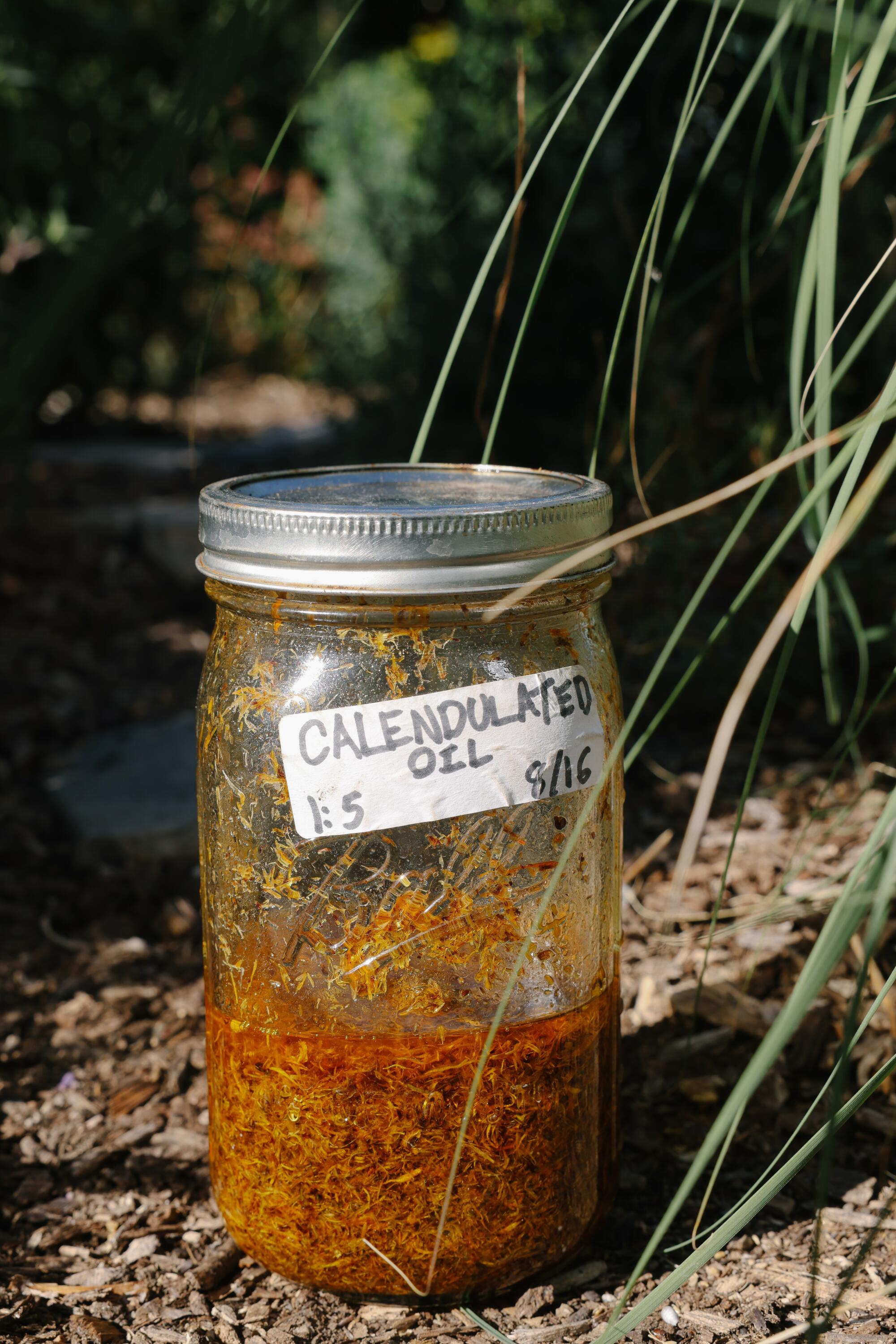 A glass jar labeled calendula oil sits outside baking in the sun