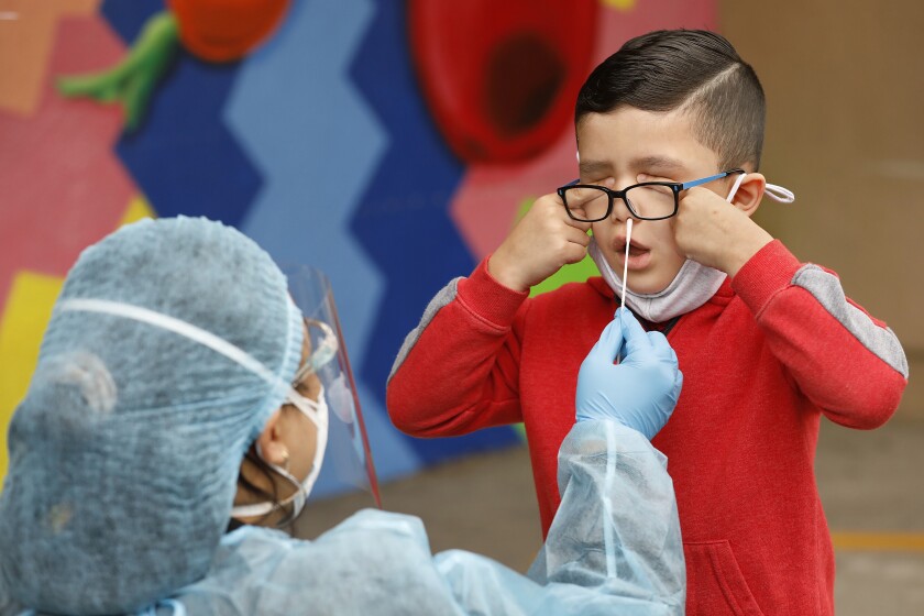 A boy has a swab stuck up his nose by a health worker in protective gear