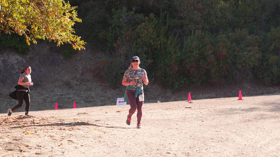 The view from the trail near Mt. Thom with an overlay of graphics.