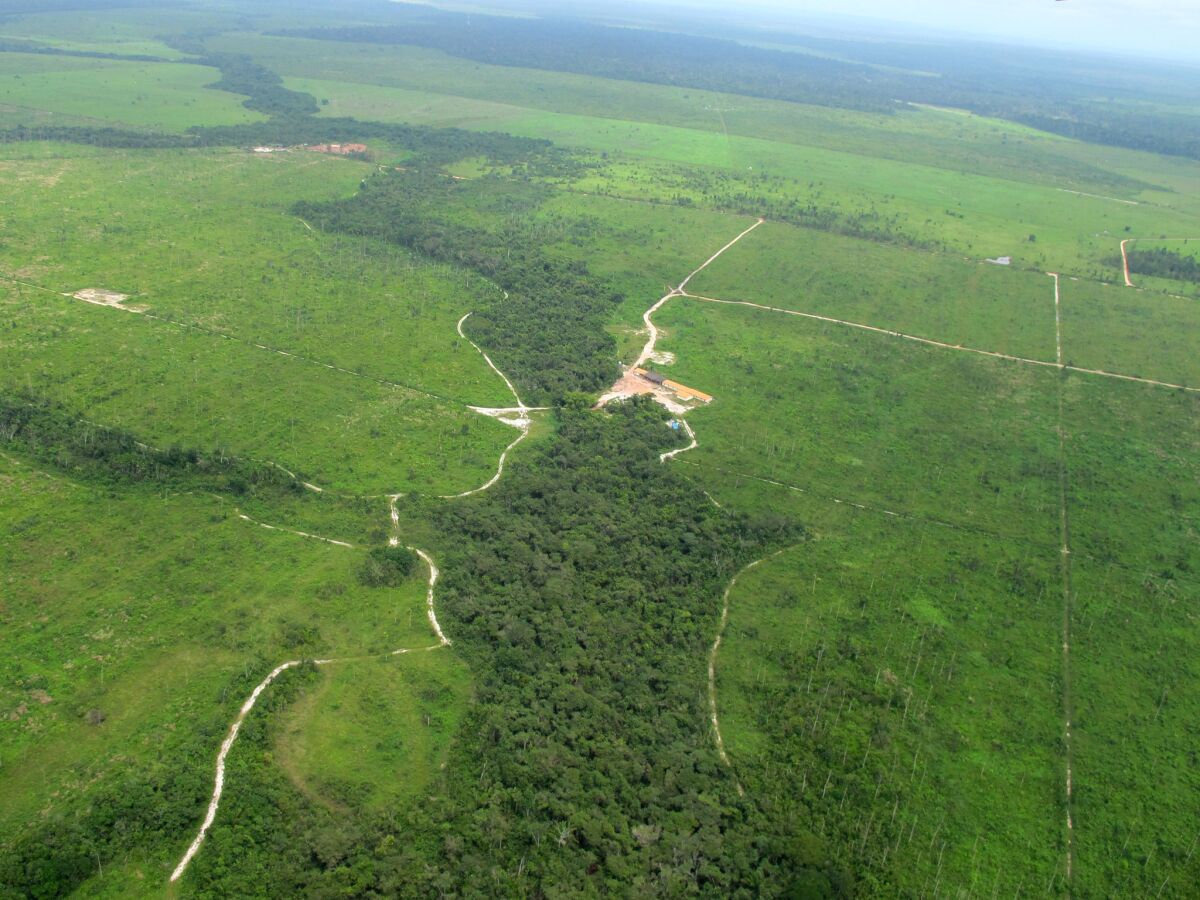 An image taken from a plane over Brazil's Maranhao state in 2012 shows the contrast between what little remains of the rainforest there and vast areas that have been razed.