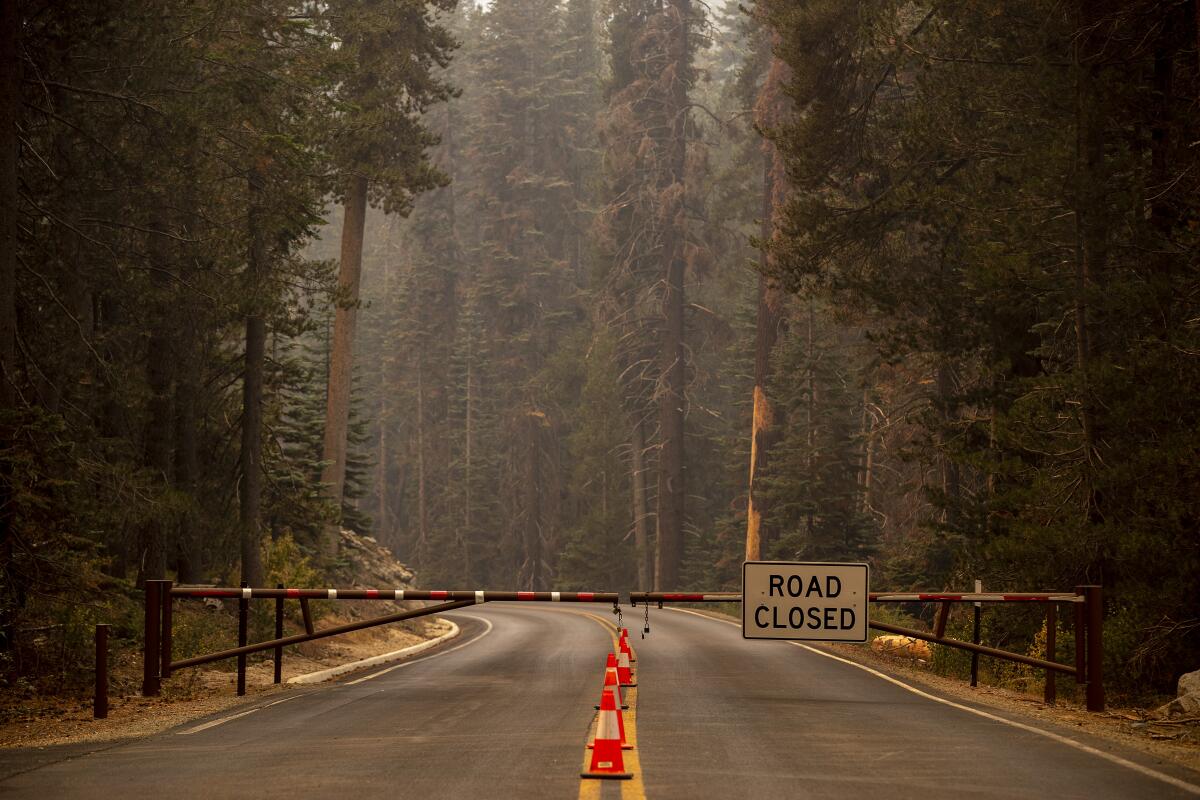 A gate with a "road closed" sign blocks a highway lined by tall trees