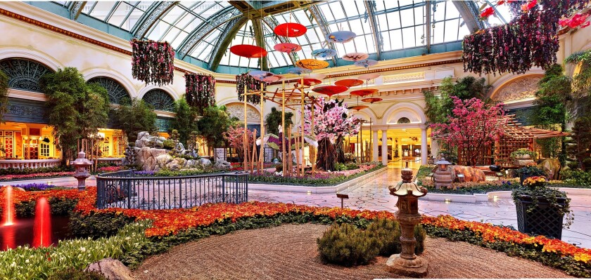 Bellagio Conservatory Spring Display Los Angeles Times