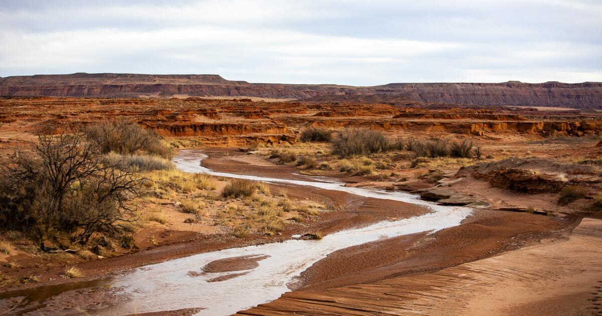 Indigene Stämme vereinbaren Wasserrechte mit Arizona
