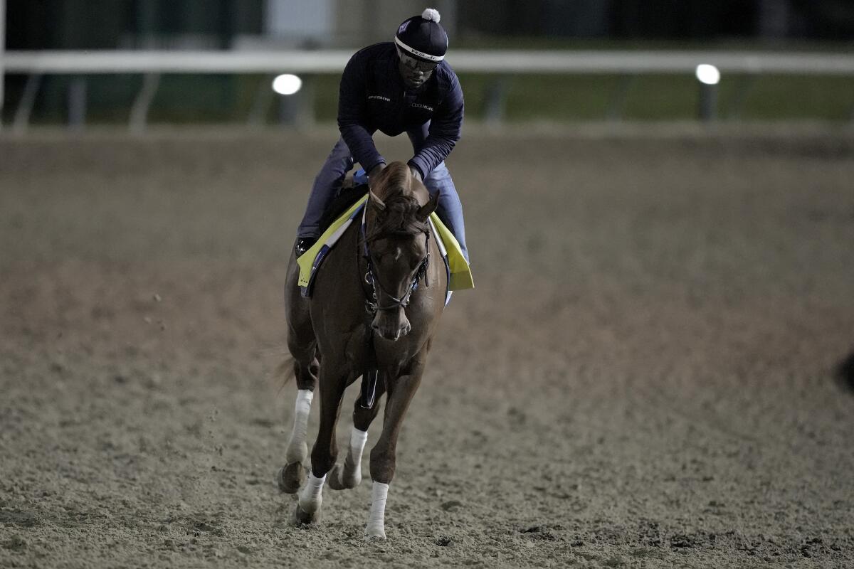 Disarm works out at Churchill Downs on May 3.