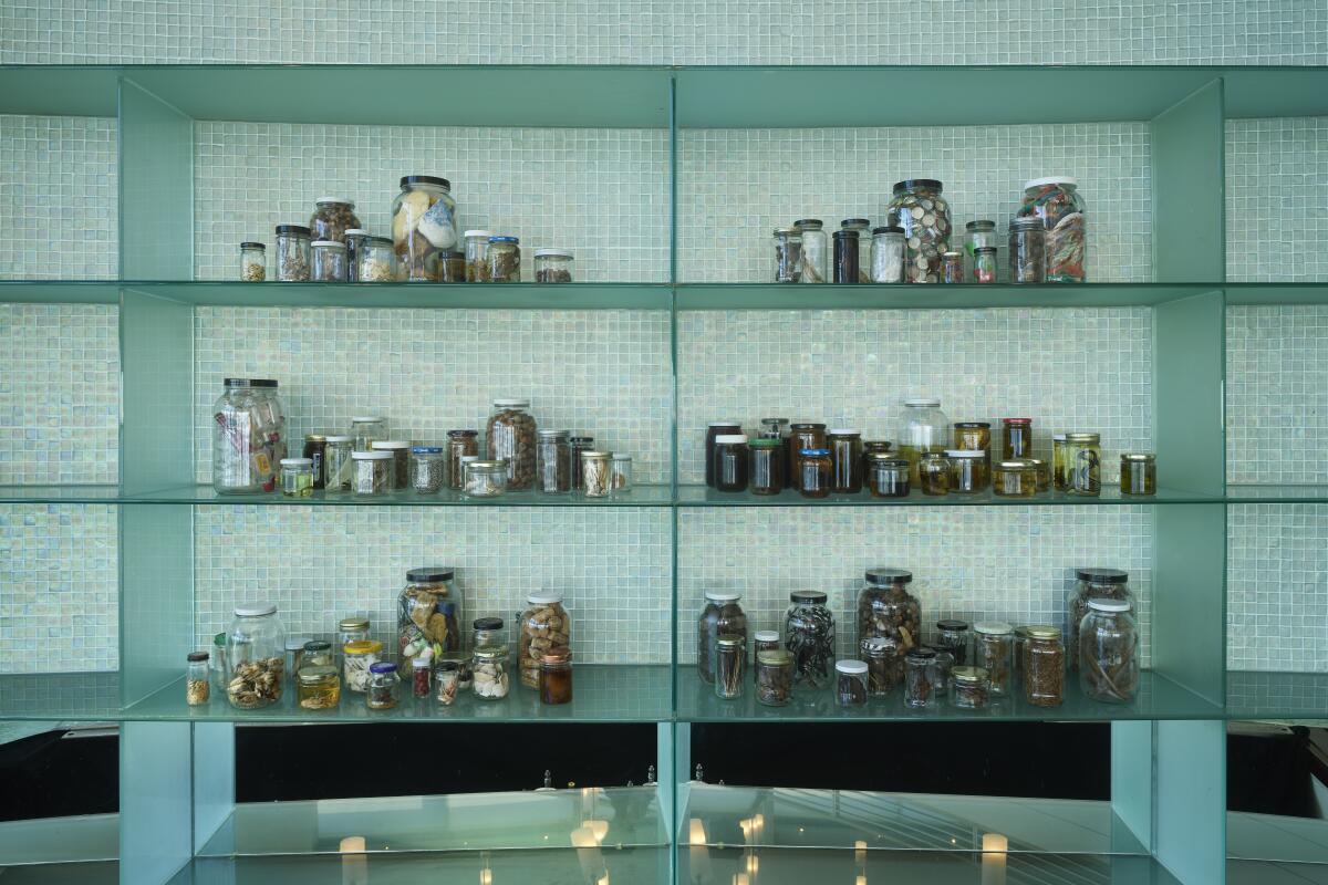 Assorted sizes of jars with mixed contents on glass shelves.