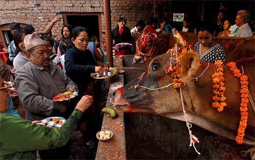 Tihar festival in Kathmandu