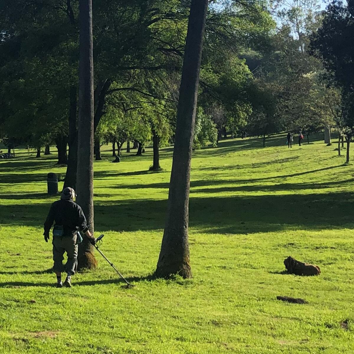 Zac Holtzman and his metal detector work the turf of Elysian Park, Los Angeles.