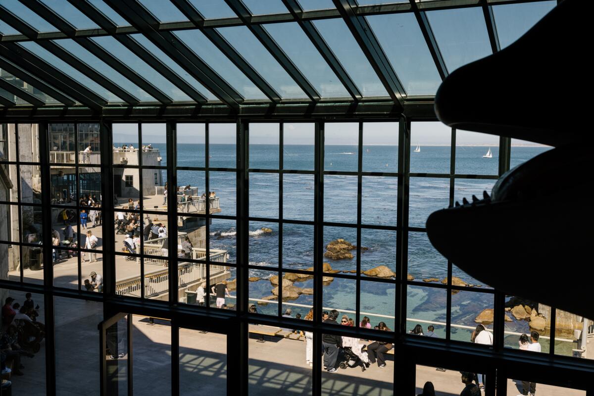 The Monterey Bay Aquarium is housed in the former Hovden Cannery.