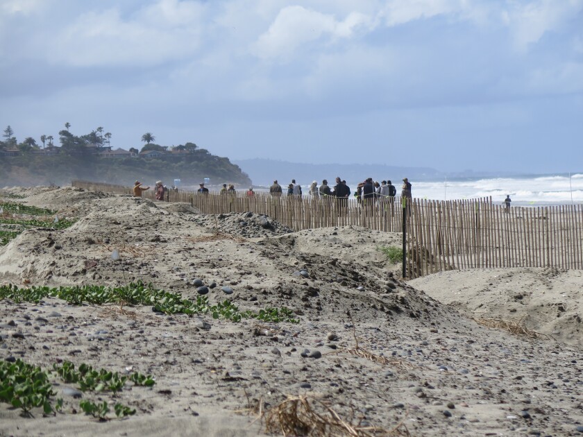 Image result for living shorelines encinitas ca