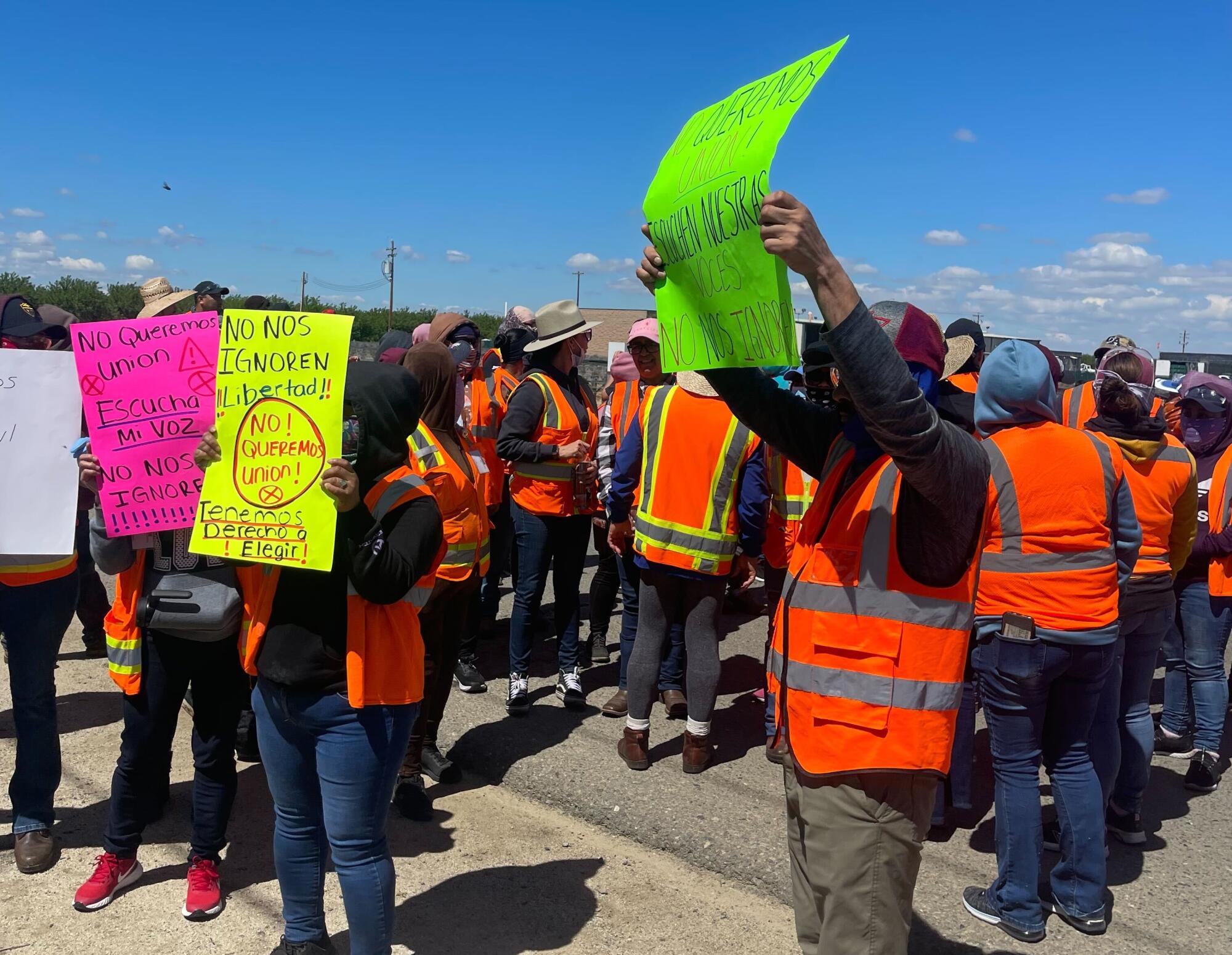 Workers in orange vests hold signs saying they do not want a union. 