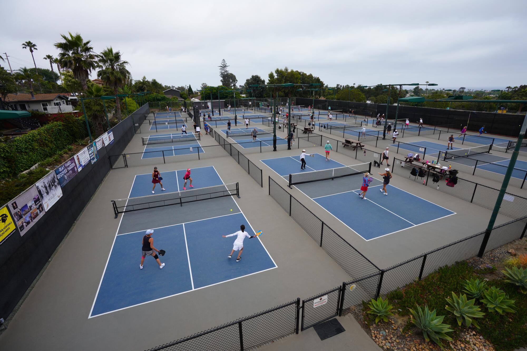 Pickleball invades San Diego tennis clubs, resorts, malls - The