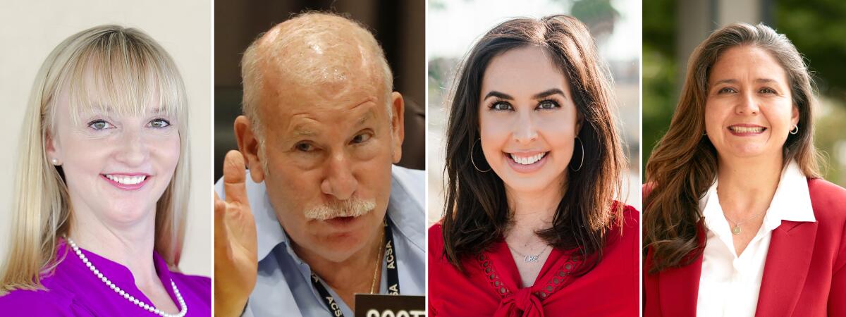 Candidates: Marilyn Koziatek and Scott Schmerelson, District 3; Tanya Ortiz Franklin and Patricia Castellanos, District 7.