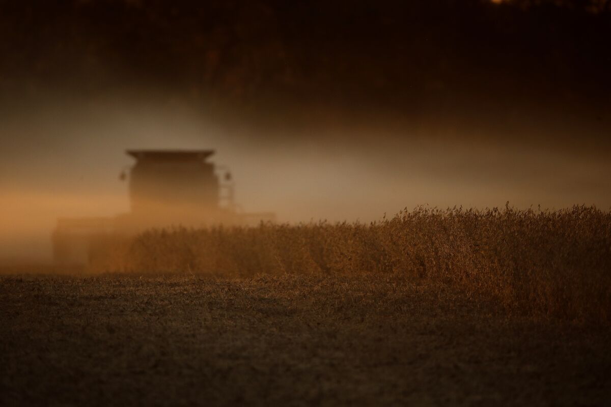 Soybeans are harvested in Kansas