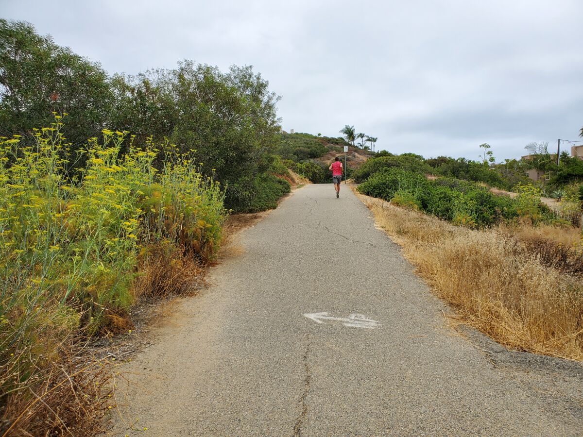 The La Jolla Bike Path sits primarily between Nautilus Street and Mira Monte and is used by cyclists and pedestrians.