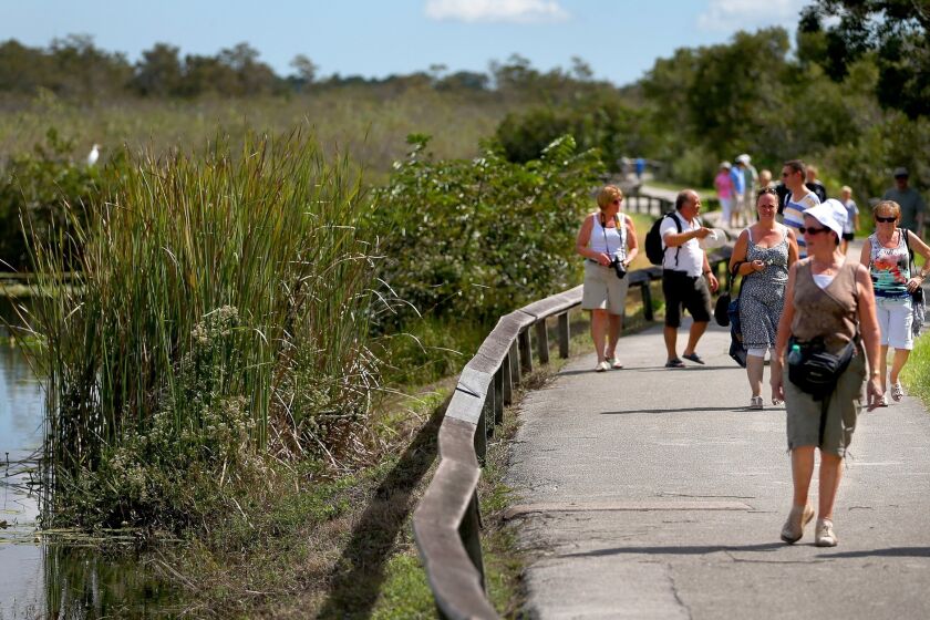 The Everglades National Park is on UNESCO's List of World Heritage in Danger. Here, visitors return to the park after it was closed to visitors for 16 days during a partial government shutdown in October.