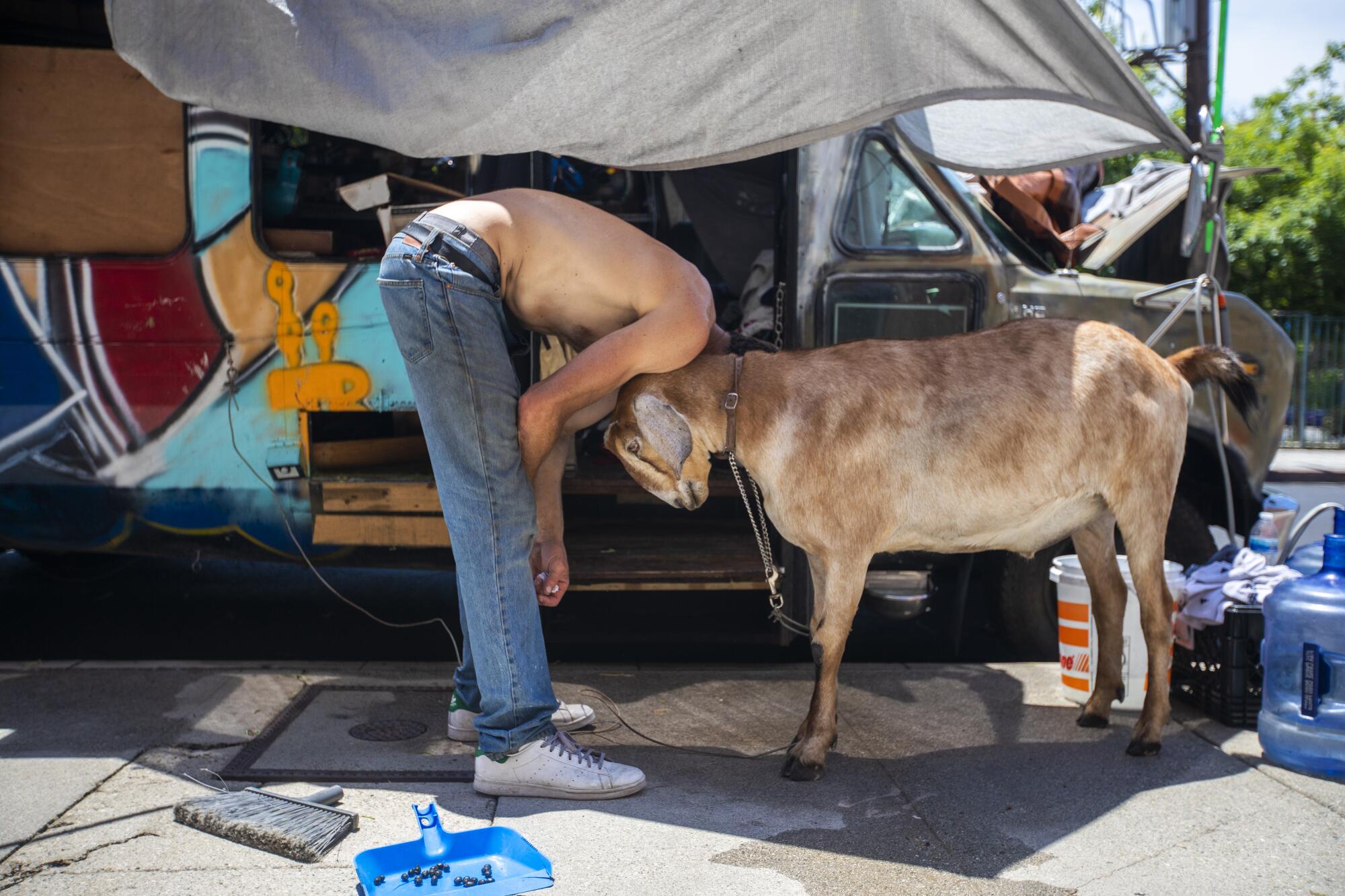 A man bends down onto his pet goat