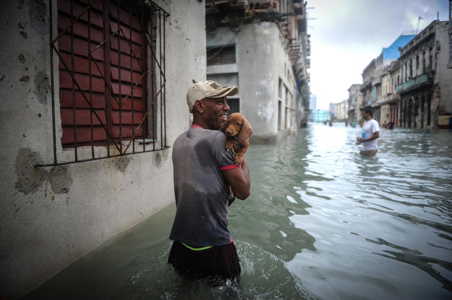 A Cuban carrying his pet wades through a flooded street in Havana on Sept. 10, 2017.