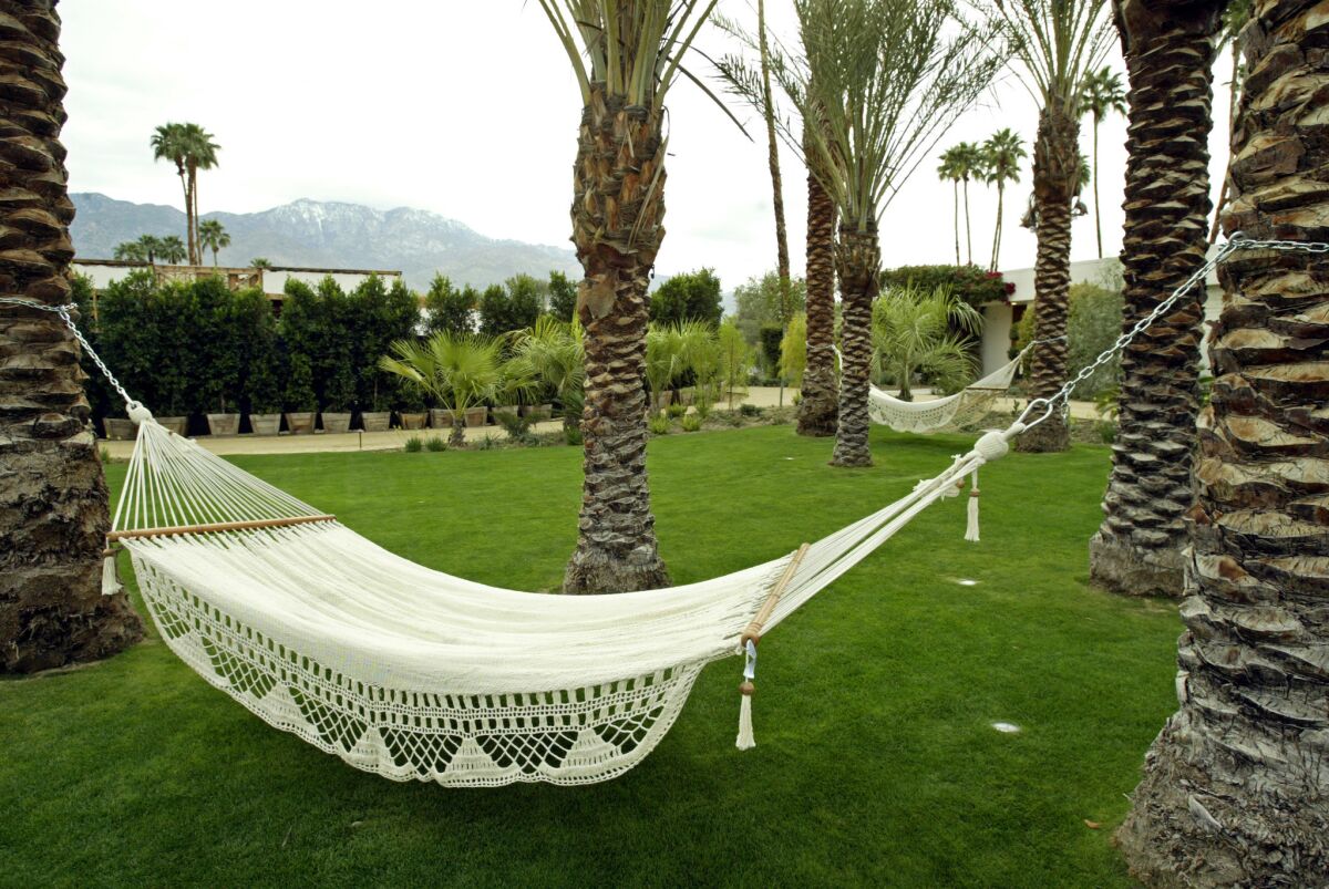 Hammocks are suspended between palm trees at the new Parker Palm Springs hotel.