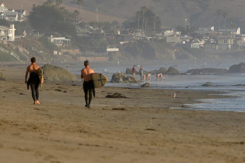 Cayucos, California -Oct. 3, 2024-Cayucos is an idyllic small town of around 2,500 in San Luis Obispo County, California. It's known for its vintage pier and pristine coastline. Two surfers walk to the waves in Cayucos.