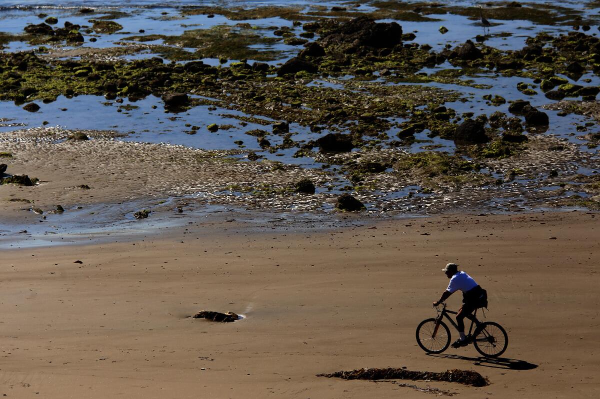 A bicyclist rides on the beach in Isla Vista.