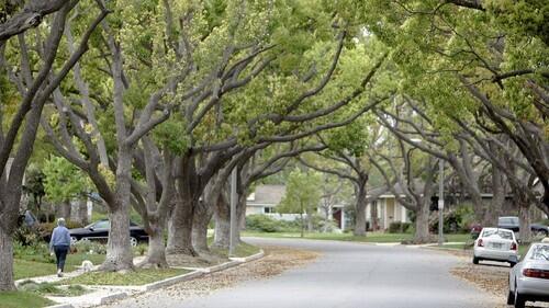 Park Estates, with a reputation as a serene, inland community of Long Beach, is protected by walls and landscaping much like a castle from the Middle Ages.