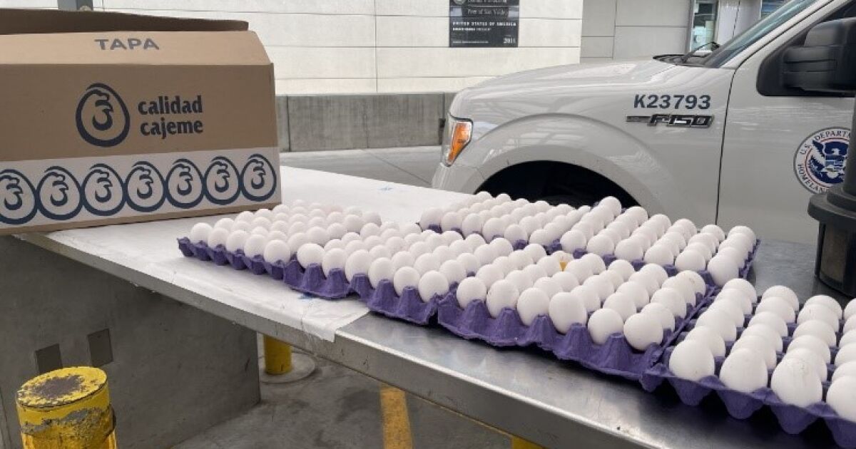 Les Californiens tentent de faire venir des œufs moins chers du Mexique
