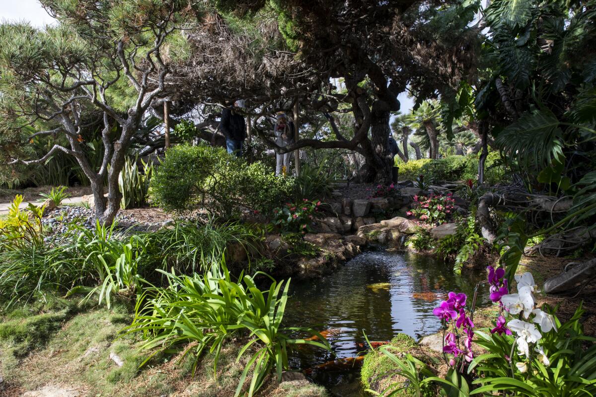 Encinitas, California - December 29: People enjoy the newly reopened Meditation Gardens at Self-Realization Fellowship on Wednesday, Dec. 29, 2021 in Encinitas, California. The garden had been closed for nearly two years because of the coronavirus. (Ana Ramirez / The San Diego Union-Tribune)