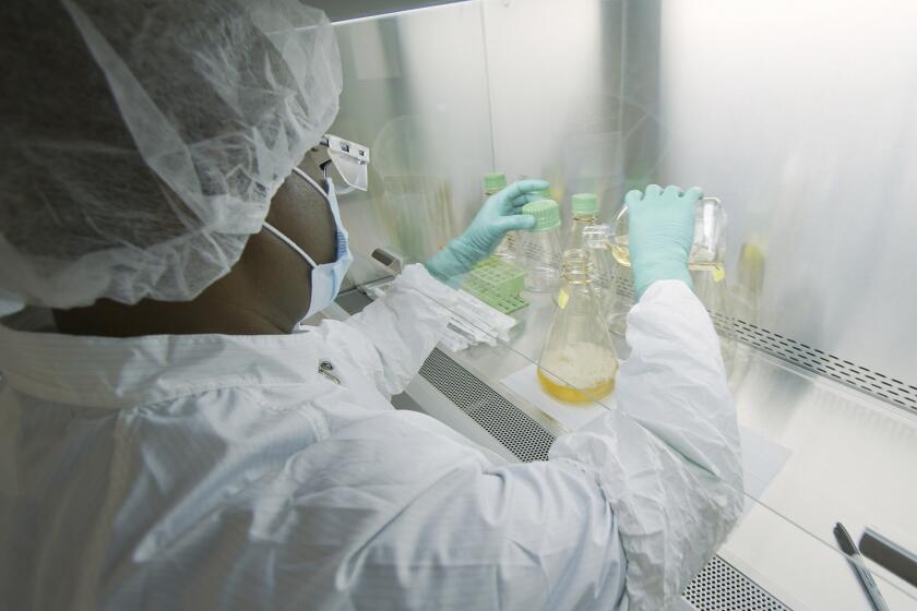 A researcher tests possible COVID-19 antibodies in a lab