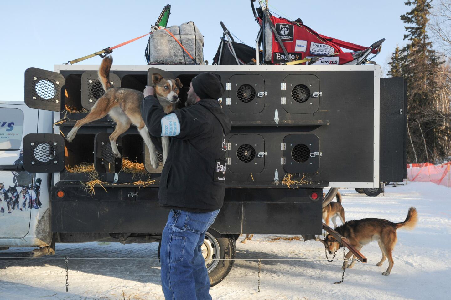 Iditarod dog-sled race