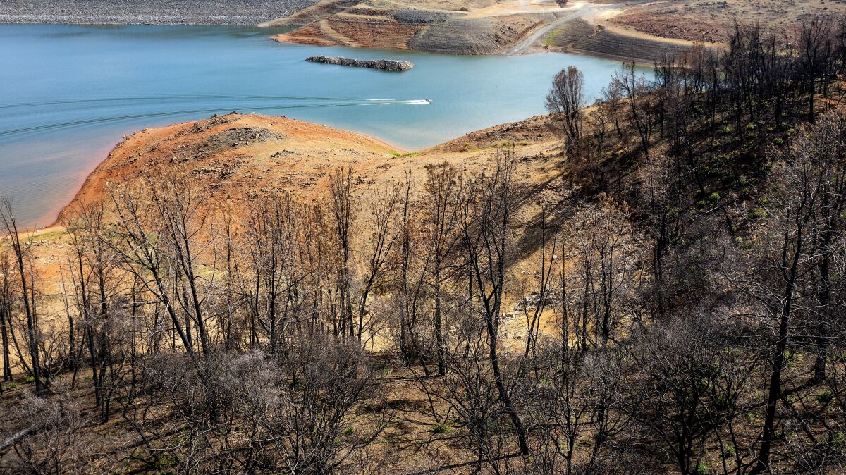 A boat crosses Lake Oroville last year near a hillside scorched by wildfire