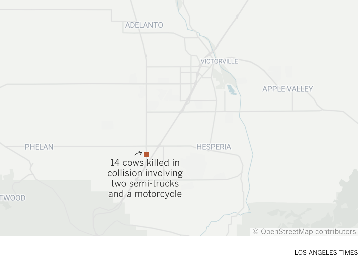 Map where 14 cows killed in collision involving two semi-trucks and a motorcycle