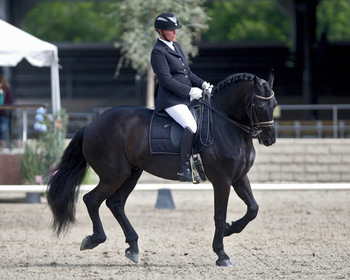 Photo Gallery: The annual Fiesta Charity Horse Show