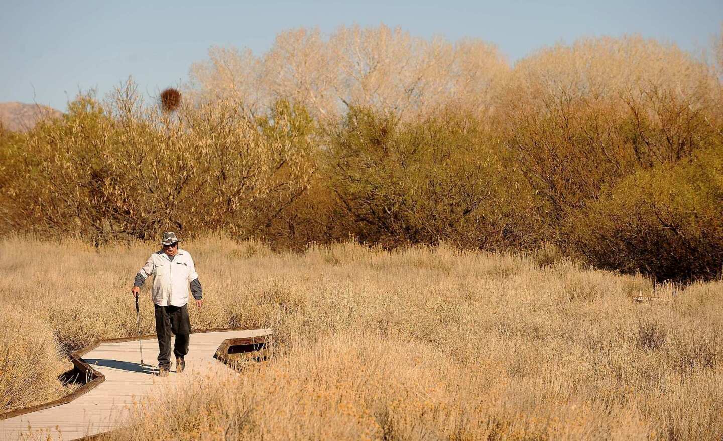 Big Morongo Canyon Preserve