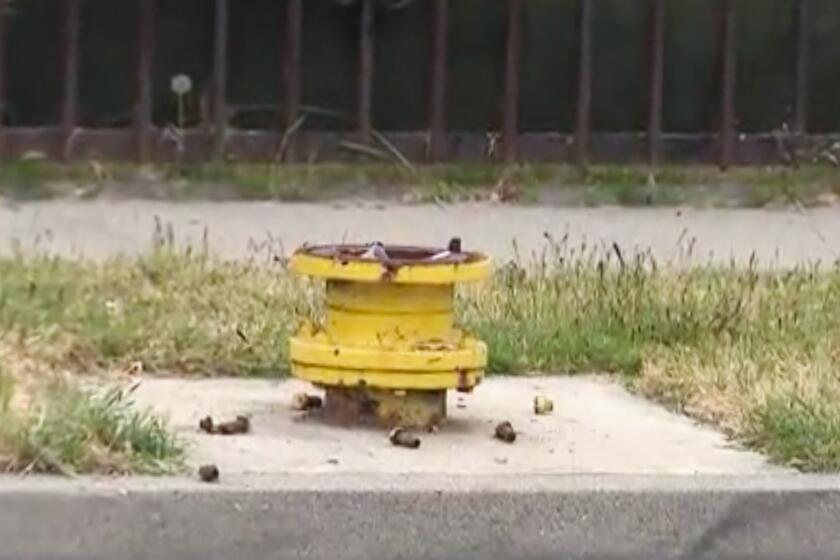A fire hydrant is stolen n ear the intersection of 82nd Street and Hooper Avenue, where thieves are stealing fire hydrants around L.A. county to profit from the scrap metal.