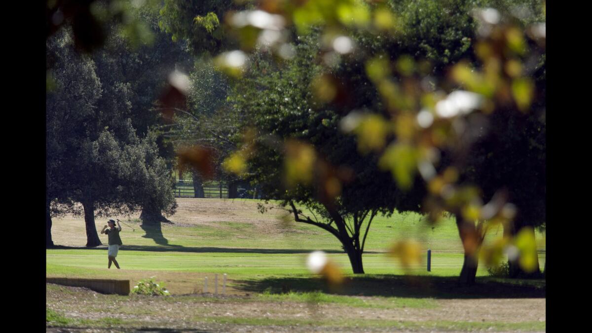 An abundance of trees, including eucalyptus and oak, can be found along the course.