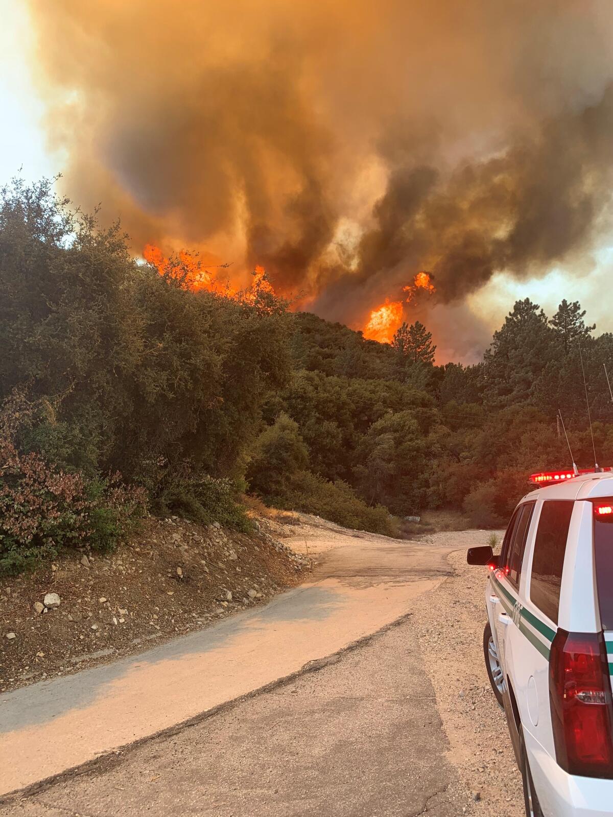The Bobcat fire in Angeles National Forest.