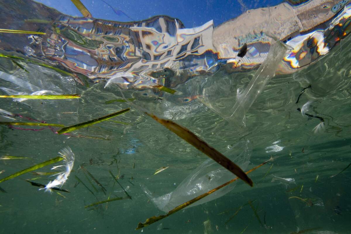 Aproximadamente 87 toneladas de basura, que incluyen, botellas de plástico, juguetes para niños, aparatos electrónicos descompuestos, redes para pescar, fundas plásticas y millones de fragmentos de desechos son encontradas en el océano pacifico.