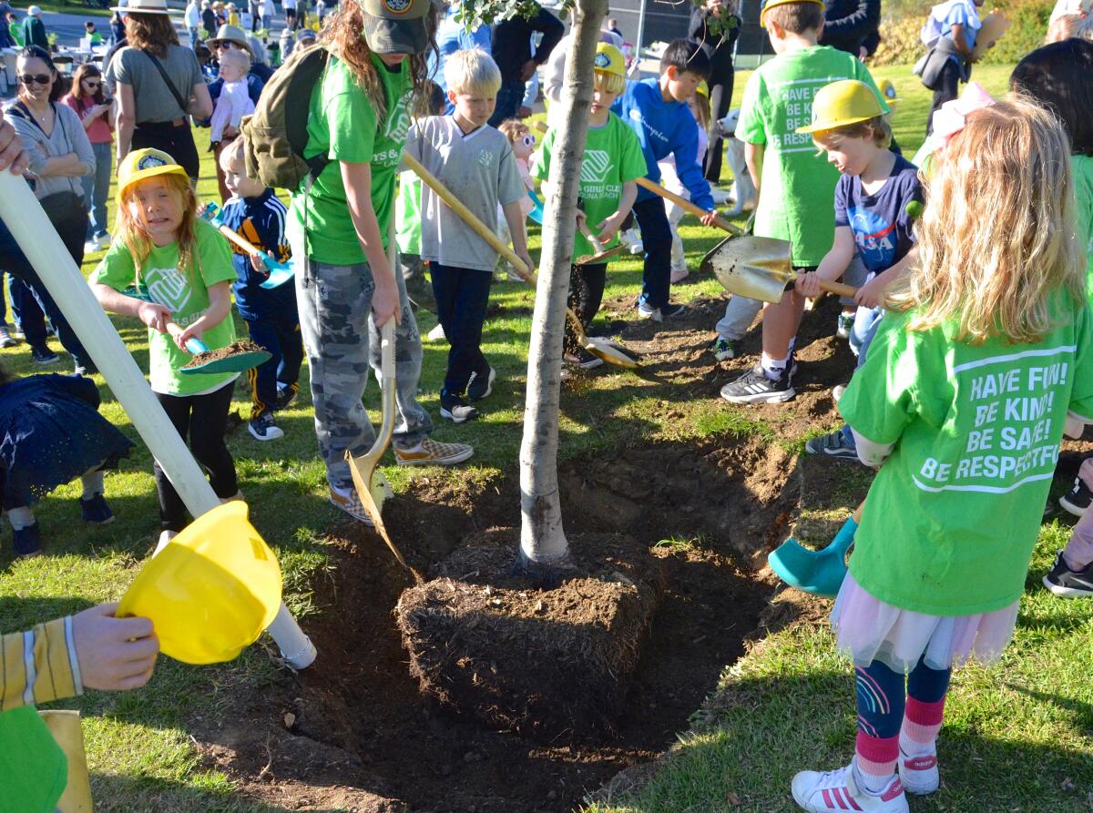 Kids take turns planting an oak tree at Moulton Meadows Park for Arbor Day.