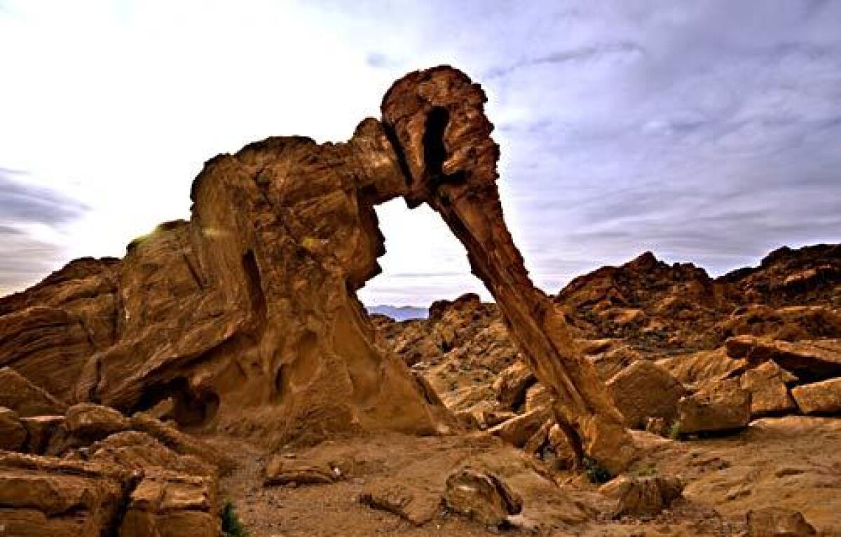 Dramatically sculpted, chiseled and twisted red rock formations dominate the 35,000 acres of Valley of Fire State Park in Nevada. Here, Elephant Rock greets the sunrise.