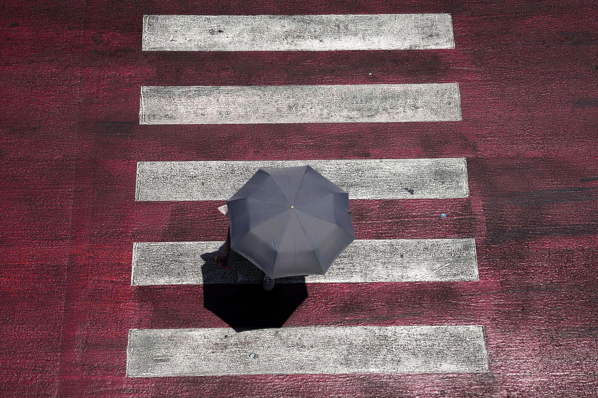 Vista aérea de um guarda-chuva aberto segurado por uma pessoa em uma faixa de pedestres.
